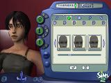 [The Sims 2-3]