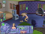 [The Sims 2 Pets-2]