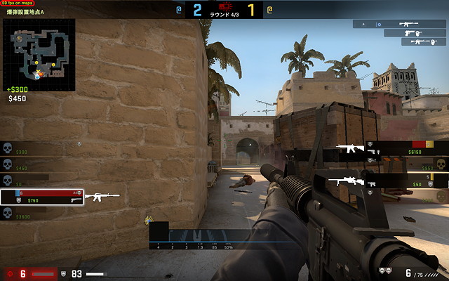 Counter-Strike: Global Offensive Frame Rate