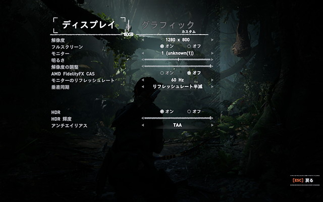 Shadow of the Tomb Raider Display High
